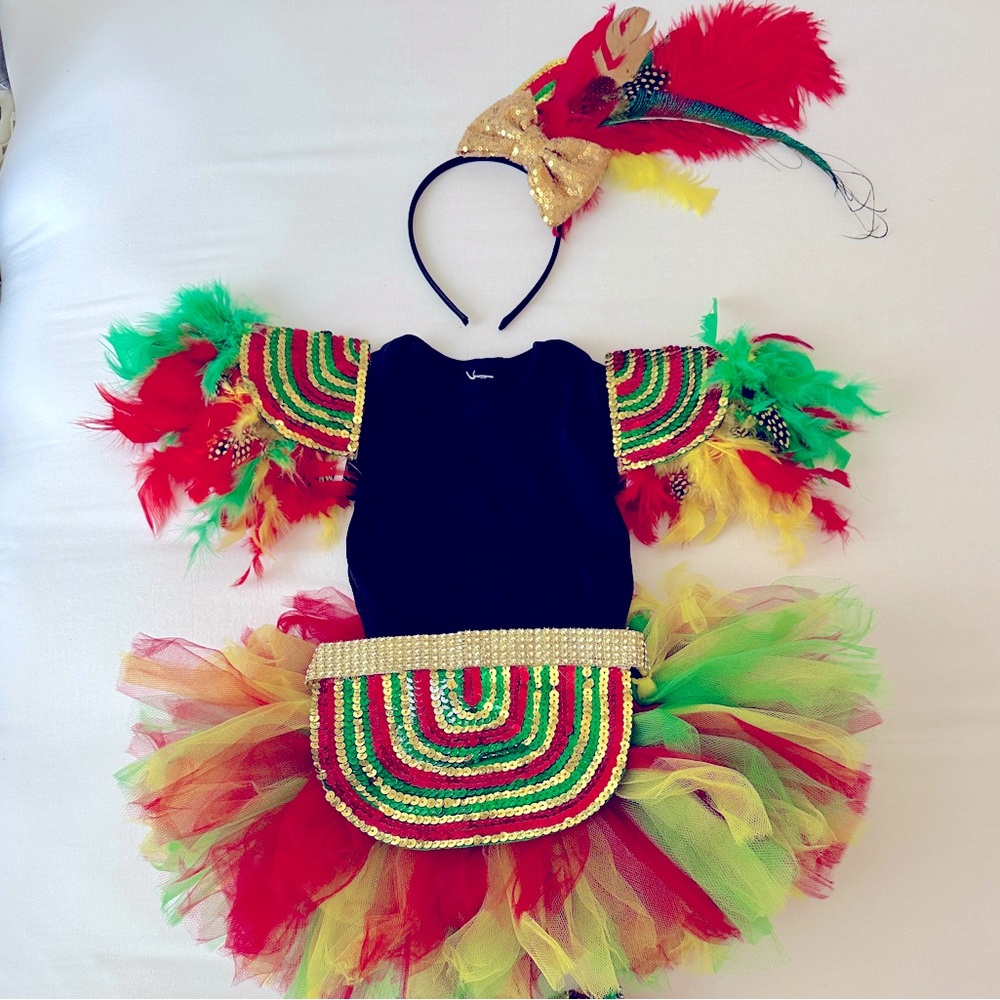 Infant girls size 12mo. Caribbean Carnival Costume
